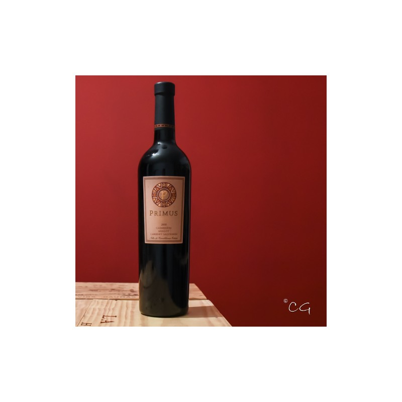 Chili - Conchagua Valley - Vina Veramonte - The Blend 2000 - 75cl.