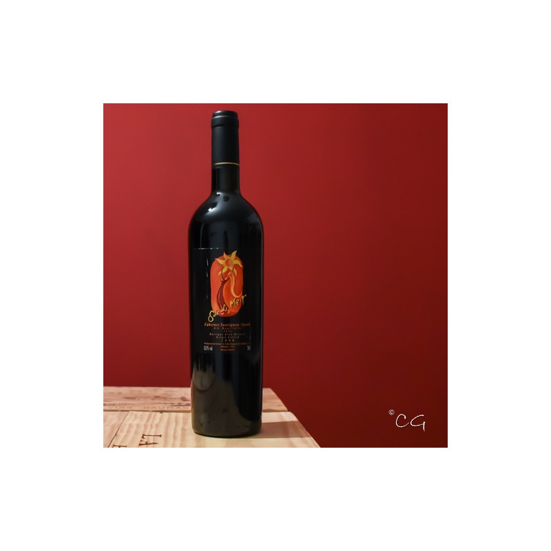 Tarapacá Sole di Maipo 2000 - Chili - Maipo Valley - Barrique Gran Reserva - 75cl. Tarapacá Sole di Maipo 2000 - Chili - Maipo Valley - Barrique Gran Reserva - 75cl.